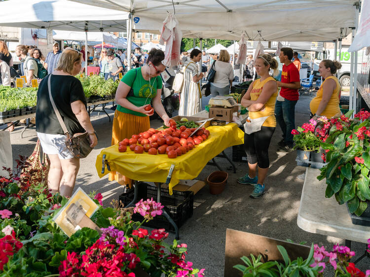 The 22 best farmers markets in Chicago
