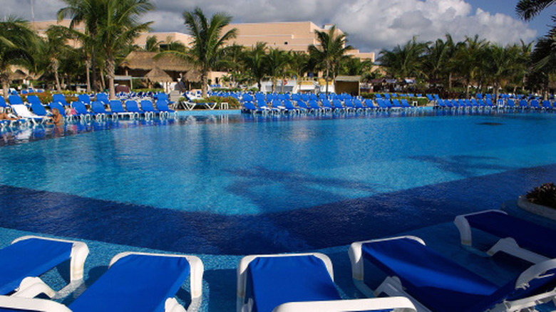 Recliners by the side of a pool at a resort.
