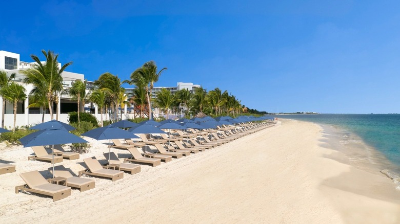 Loungers and parasols on the beach in front of Royalton Splash Riviera Cancun.