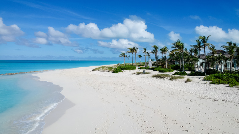 A beautiful white-sand beach and palm trees on Turks and Caicos.