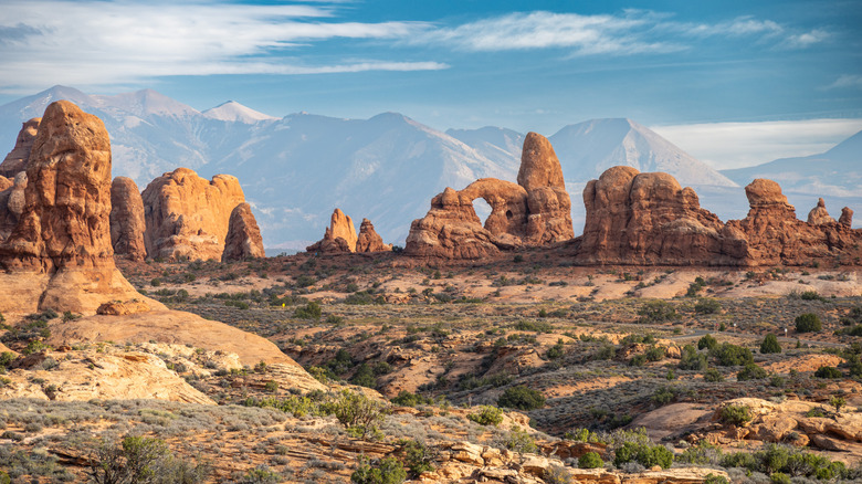 the grand sandstone rock formations that make up the landscape in Arches National Park